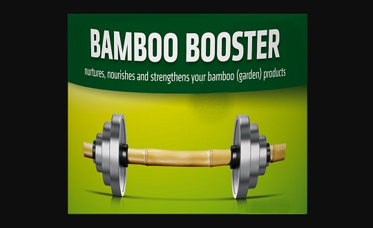 Bambus_booster_2_540