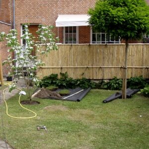 Splitbambus H:120cm x B: 500cm