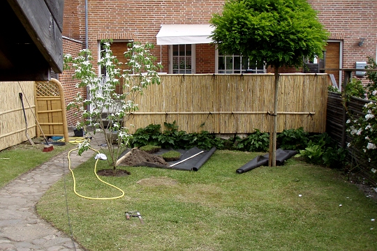 Splitbambus H:120cm x B: 500cm