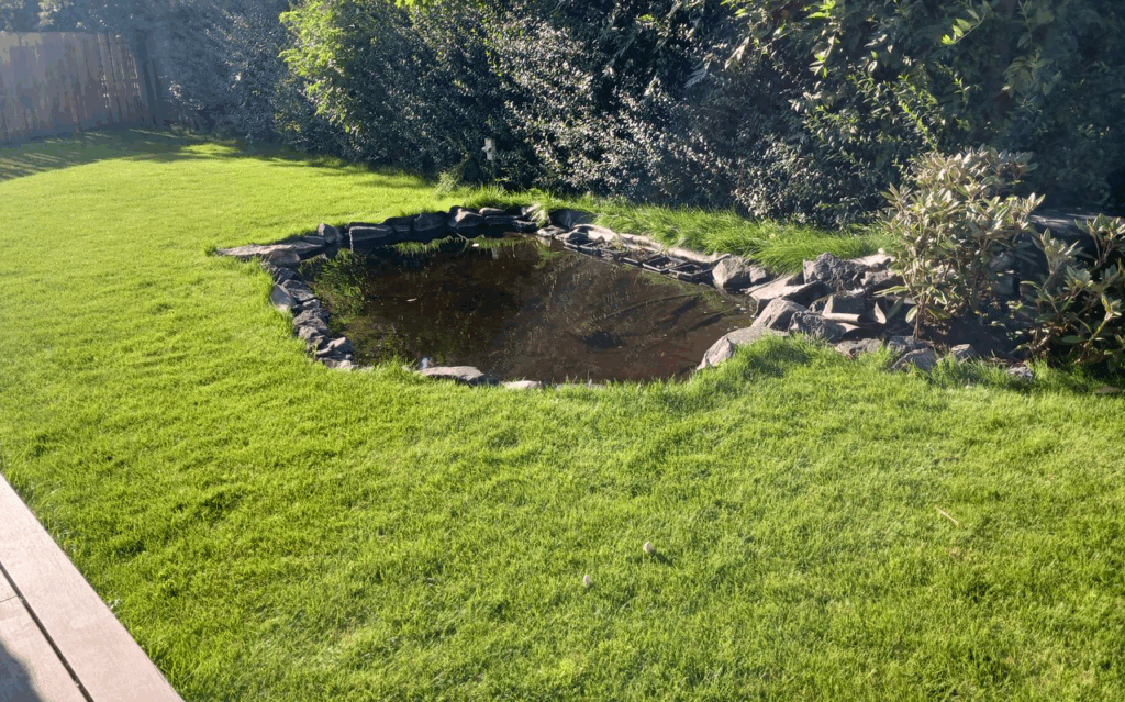 Dyssegaard-bassin-foer