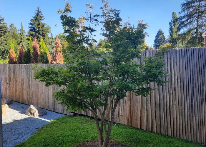 Japansk havestykke Virum