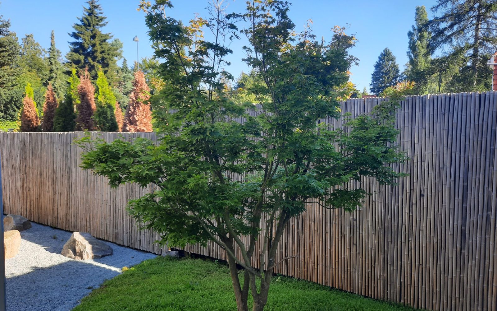 Japansk havestykke Virum