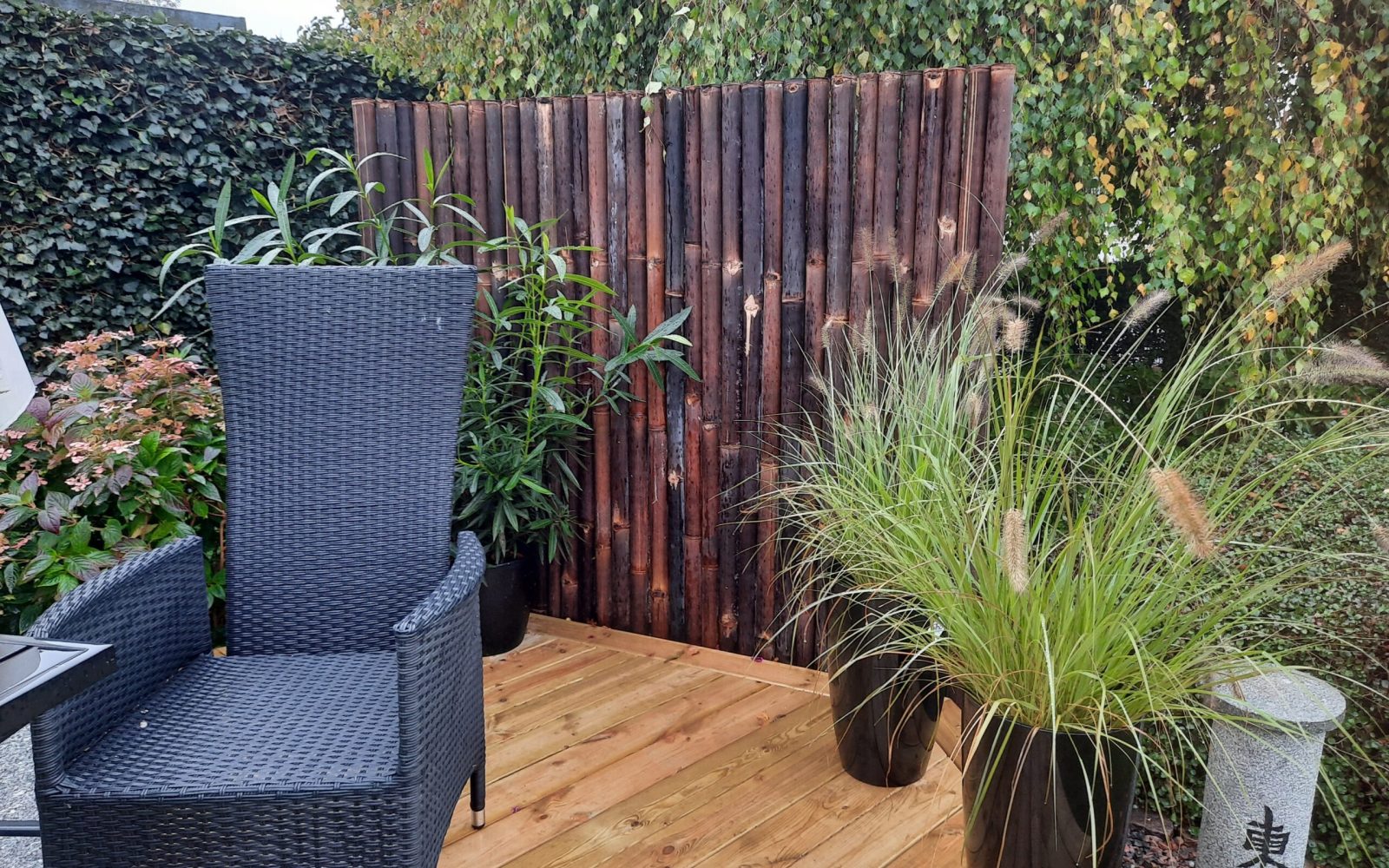 Gigant hegn 20201021_150030