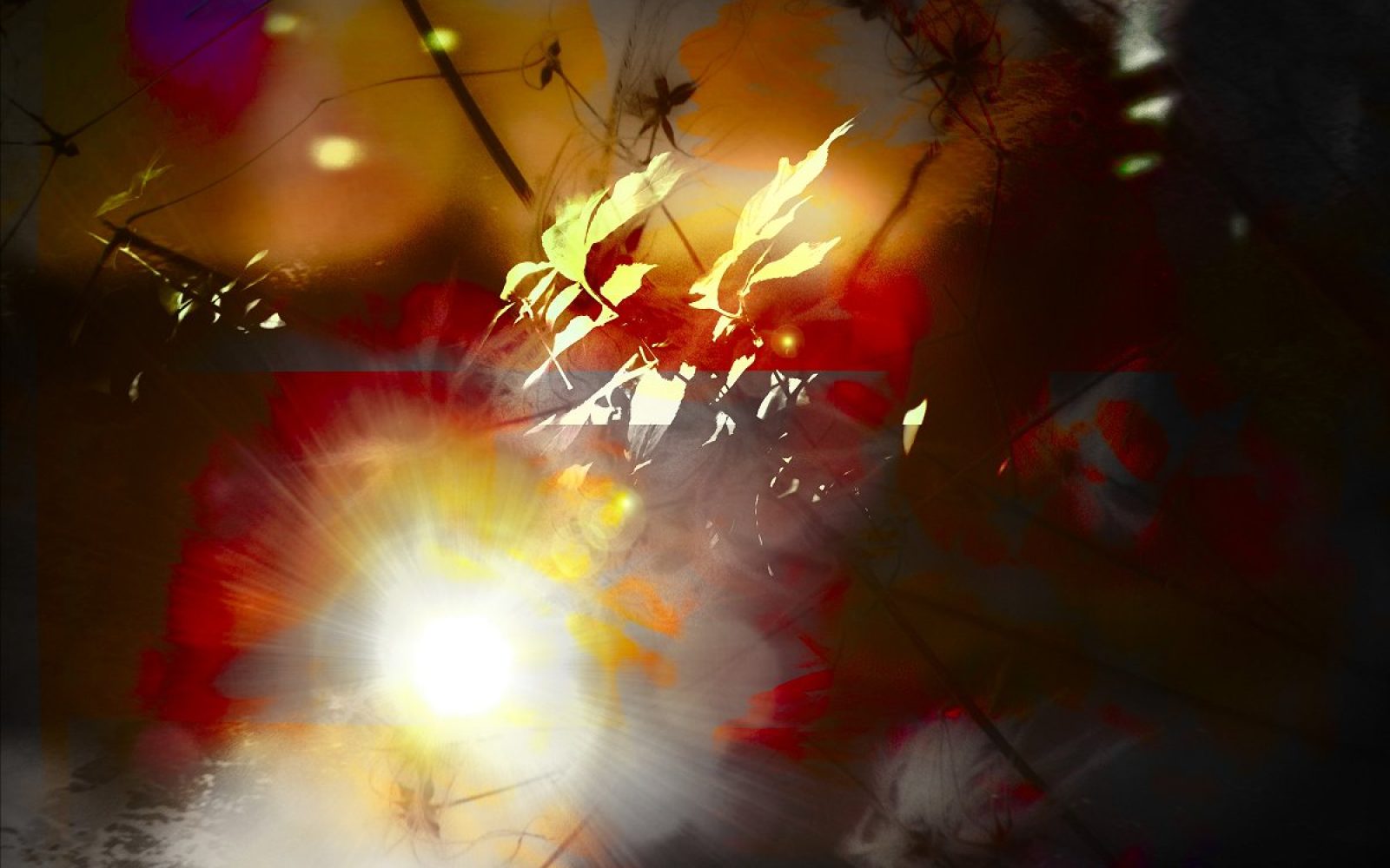 Artcut-Nature_16_1200.jpg
