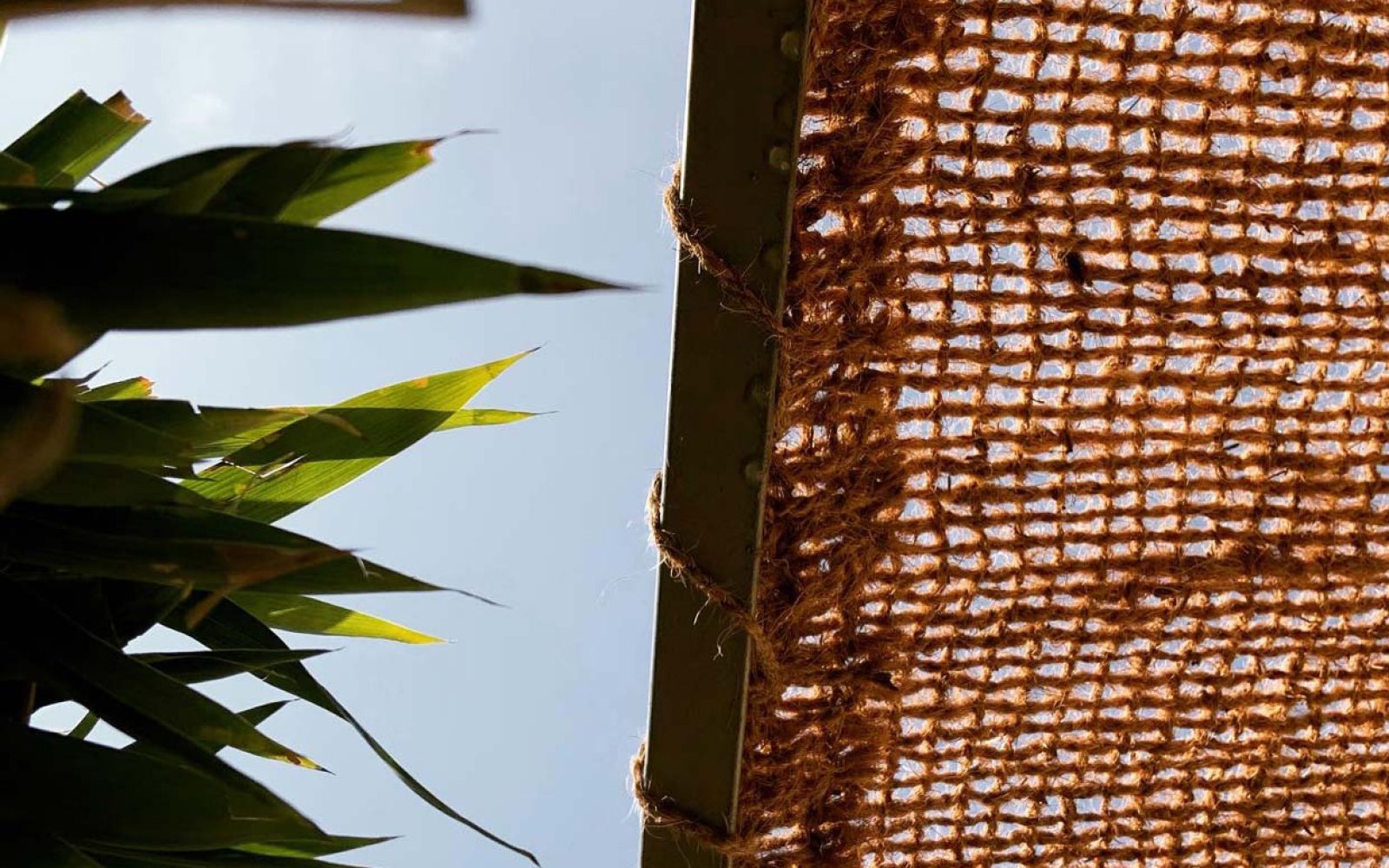 Bambusdanmark model 1 tæt på solskærm