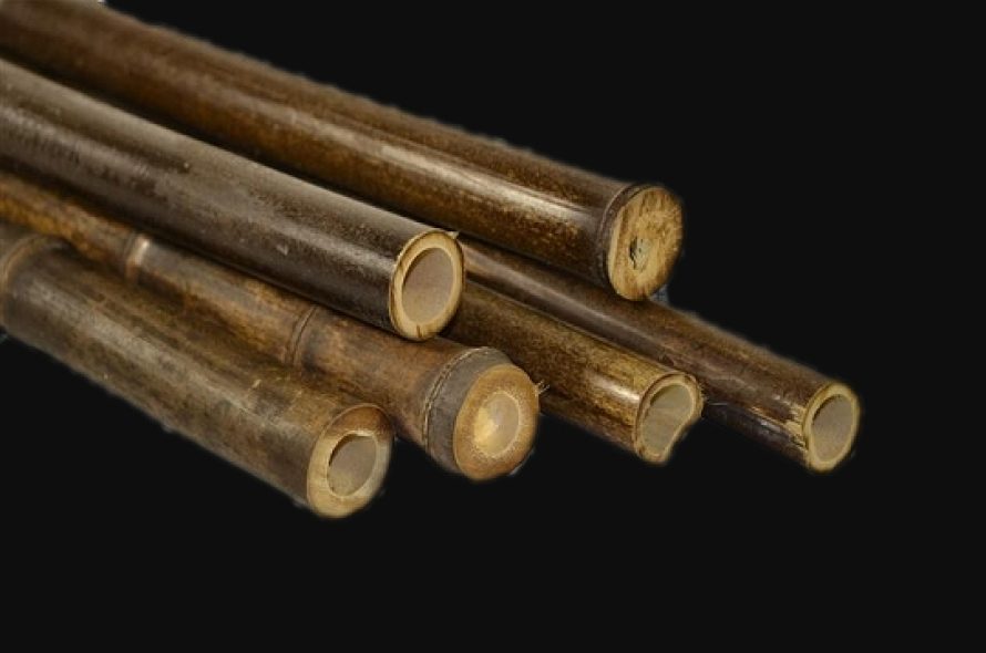 Bambusstokke_sort_1_540