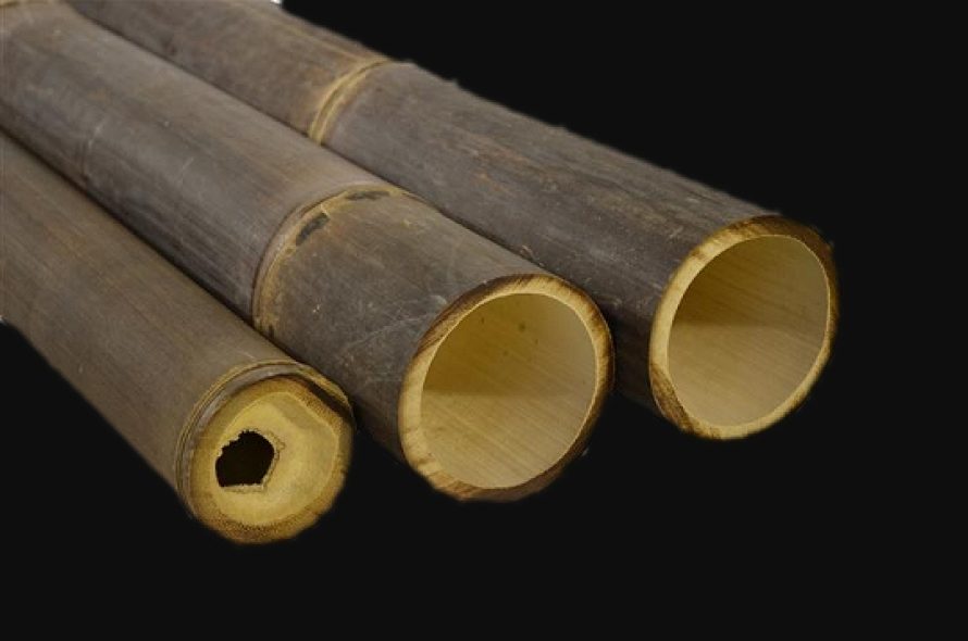 Bambusstokke_sort_3_540