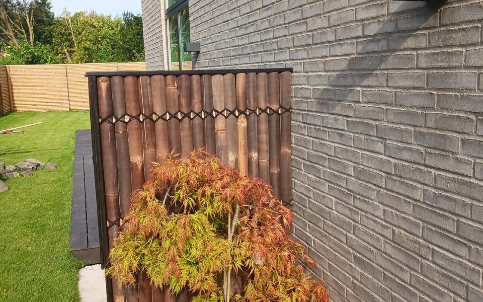 Dyssegård hegn og ahorn