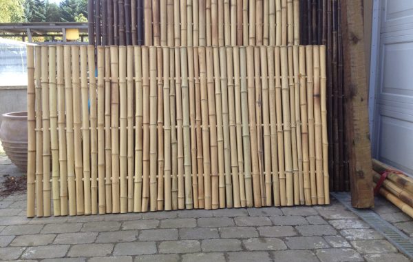 Ærlighed newness Sammenligne Hegn – Bambus danmark