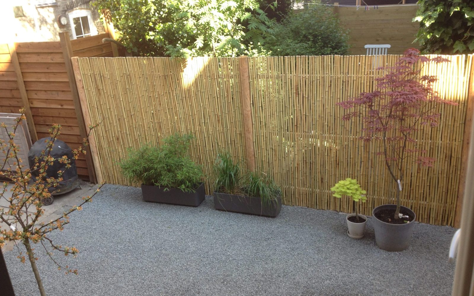 Have i kartoffelrækkerne