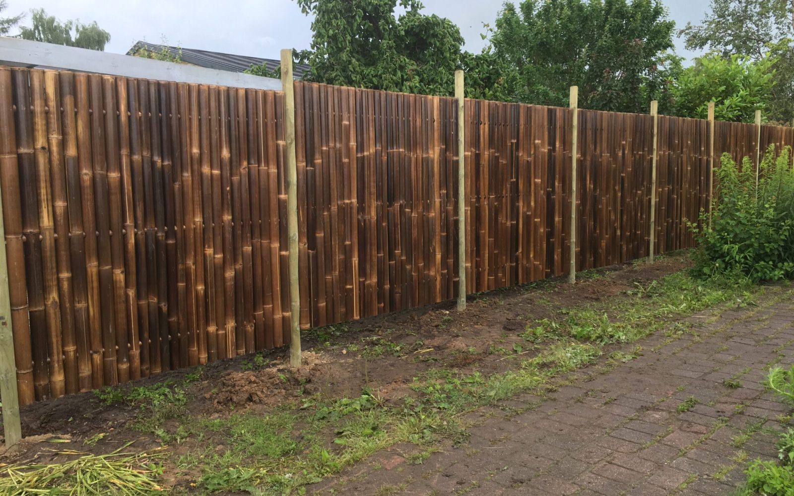 Gigant hegn mørk privat have