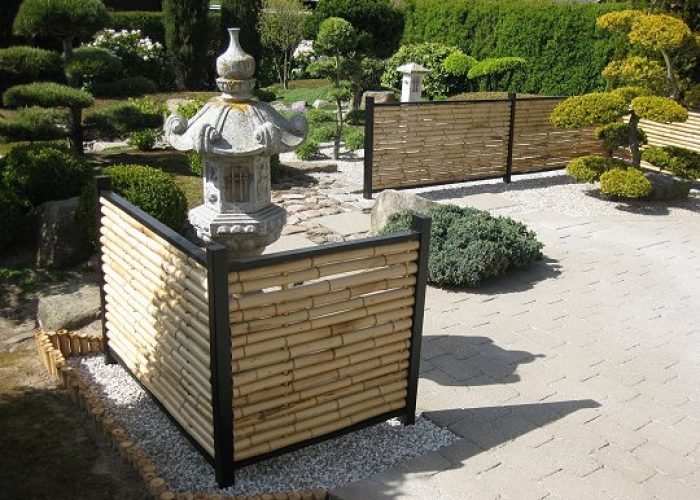 Trendline i japansk have