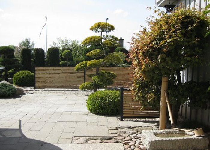 Trendline i japanske have