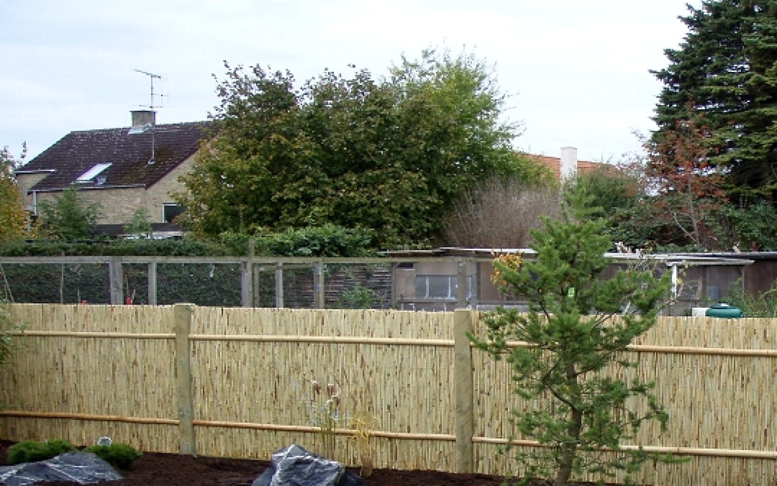 Split_bambus_hegn_12_540