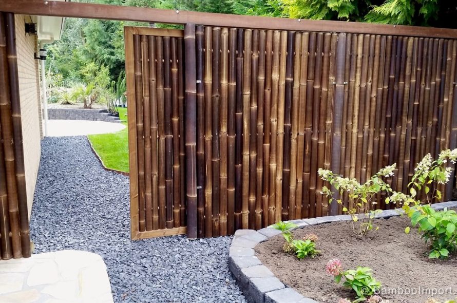 giganthegn port opbygning