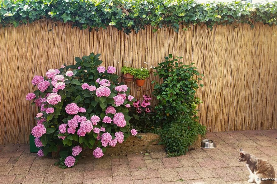 Stråmåtte Bambusdanmark